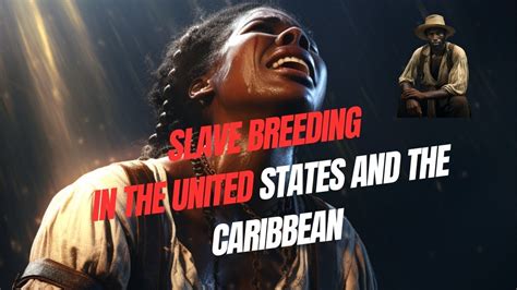 slave-selection|Slave breeding in the United States